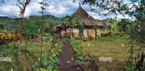 Air Niugini Goroka Office in Papua New Guinea