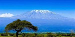 Air Tanzania Kilimanjaro Office in Tanzania
