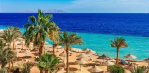 Air Cairo Marsa Alam Office in Egypt