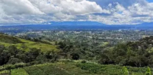 Air Niugini Mount Hagen Office in Papua New Guinea