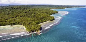 Air Niugini Wewak Office in Papua New Guinea