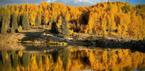 Flair Airlines Deer Lake Office in Canada