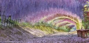 Japan Airlines Kitakyushu Office in Japan